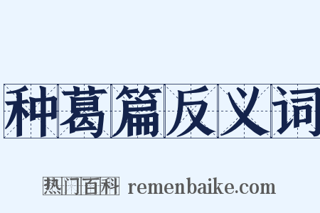 种葛篇反义词是什么意思的图片